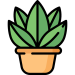 plante
